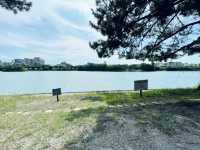 福岡散歩におすすめ！大濠公園！