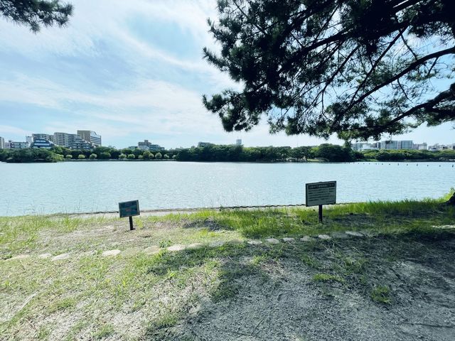 福岡散歩におすすめ！大濠公園！