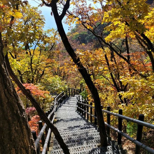 Autumn in Seoul