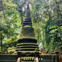 อุทยานแห่งชาติน้ำตกพลิ้ว