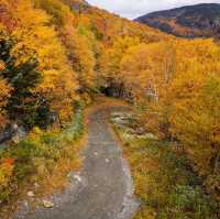 Best place to see fall foliage in East Coast