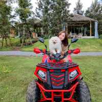 ชวนน้องหมาไปแคมป์ปิ้ง || ปาท่องโก๋ กาญจนบุรี