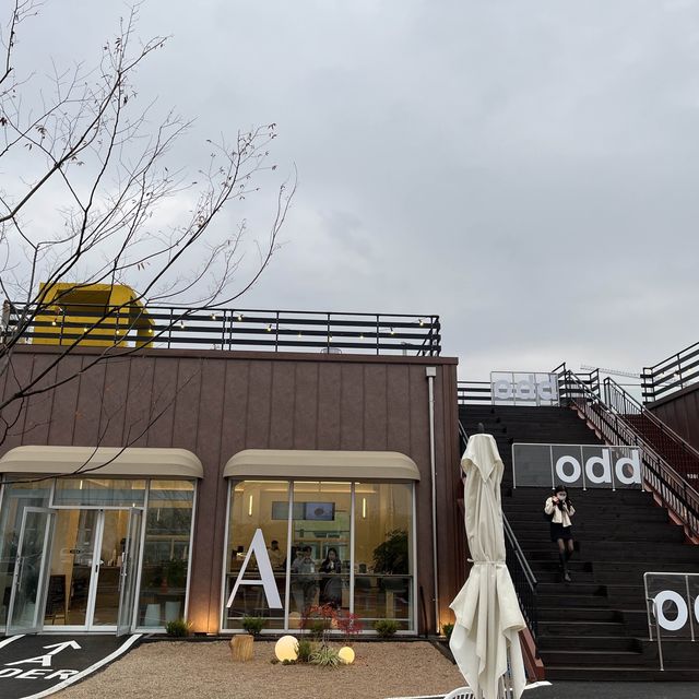 트리와 함께 즐기는 파주 신상카페(odd)