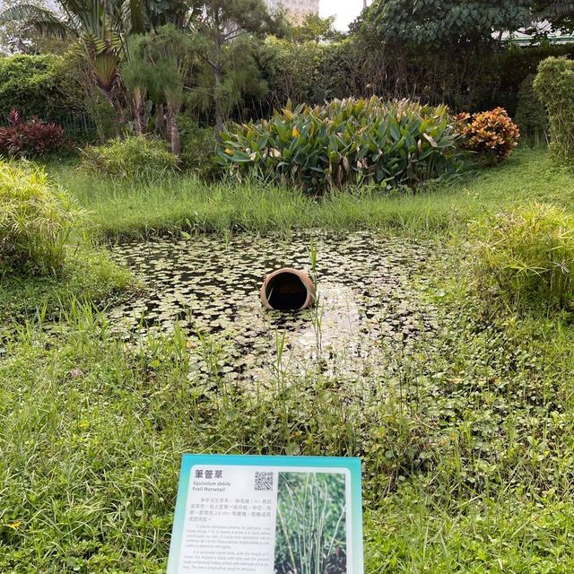 Macau Wetland of  Beach Avenue, Taipa