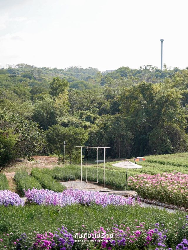 ถ่ายรูปสวยๆกันที่ Floryday Khaoyai🌸🌷