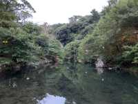 Cheonjiyeon Waterfalls 