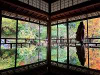 【和倉】映え映えな写真が撮れる「青林寺」