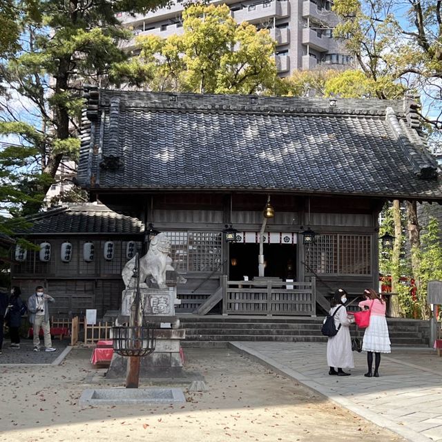 花手水が美しすぎる🌼