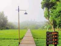 พักฟิน อิงโขง เคล้าสายหมอก..ไปแอ่วเจียงฮายกันเจ้า