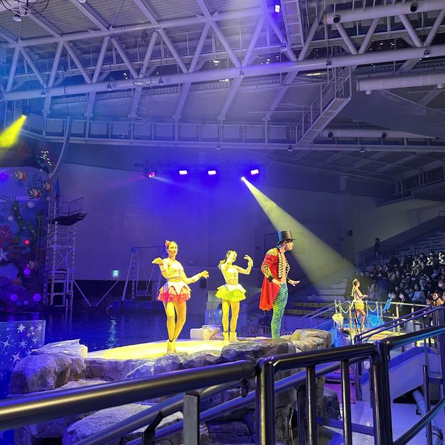 아이와 함께 제주 여행 중이라면 필수 아쿠아플라넷