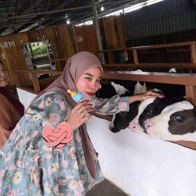 Mini New Zealand in Malaysia 