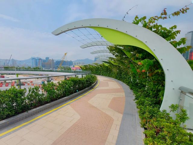 超靚萬呎草地空中花園