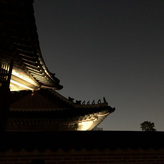 경복궁 야간개장이 찐이다 ✨