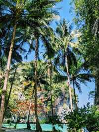 Let’s go to paradise now