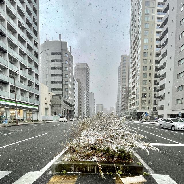 東京が雪景色に！