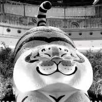 萌虎猛虎！我不是胖虎！