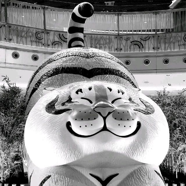 萌虎猛虎！我不是胖虎！
