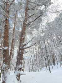 제주도 한라산은 하얗게 변했어요