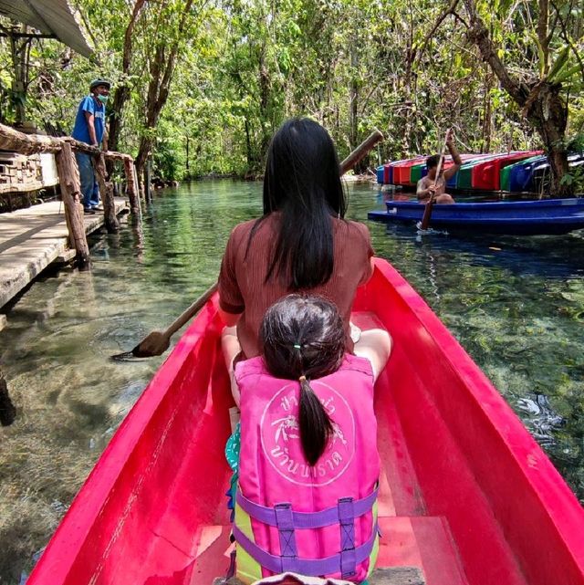 พายเรือชมธรรมชาติในป่าต้นน้ำ🏞️ ที่น้ำใสกิ๊งงง✨