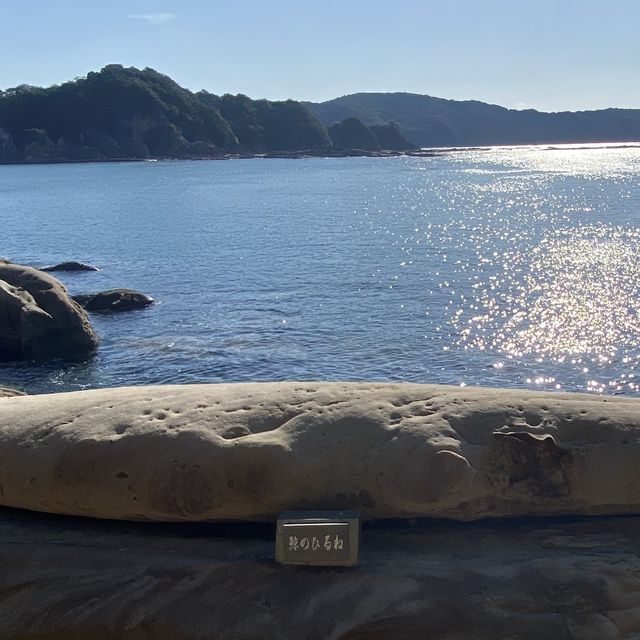 【高知】足摺海底館