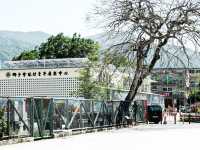 祈福靚境 林村許願樹
