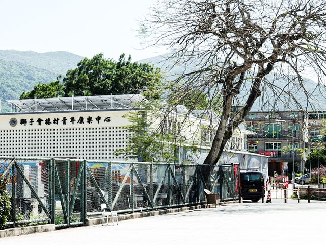 祈福靚境 林村許願樹
