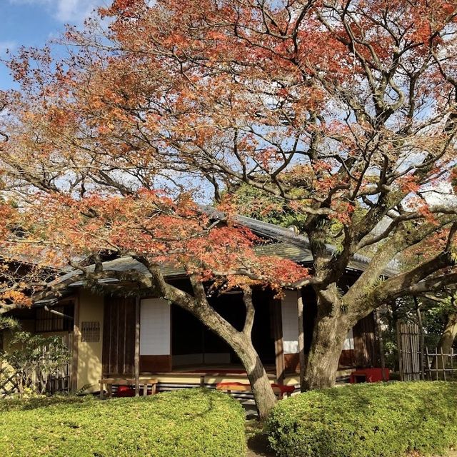 松風園　［福岡］