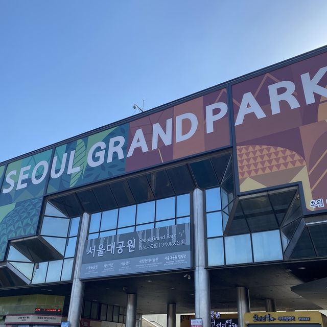 추억이 있는 놀이공원 직원들끼리 서울랜드 야유회!