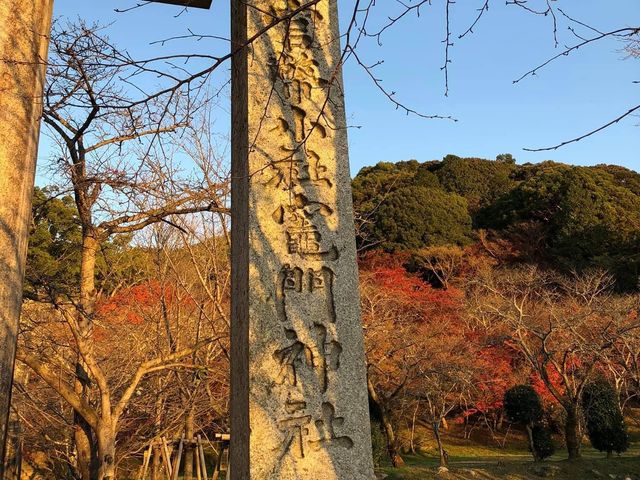 「鬼滅之刃」粉絲的朝聖地｜竈門神社