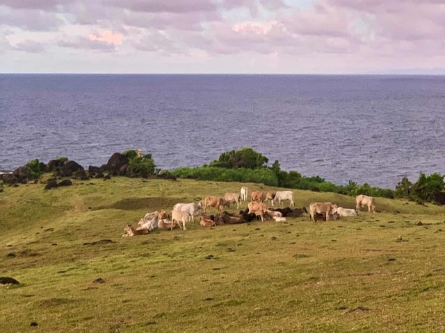 Suuuave sa ganda at linis ang Catanduanes!!