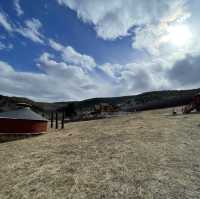 Holiday’s at Mongolian Secret History Camp