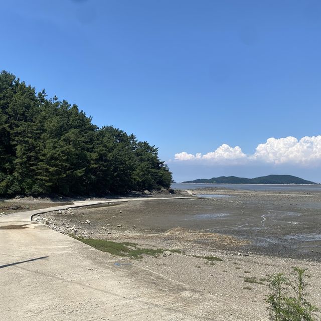 선재사메기 🦪갯벌체험🐚 바지락 캐기! 도오전~