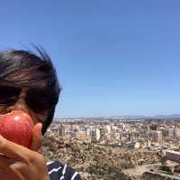 La Alcazaba วังเก่าใน Almeria