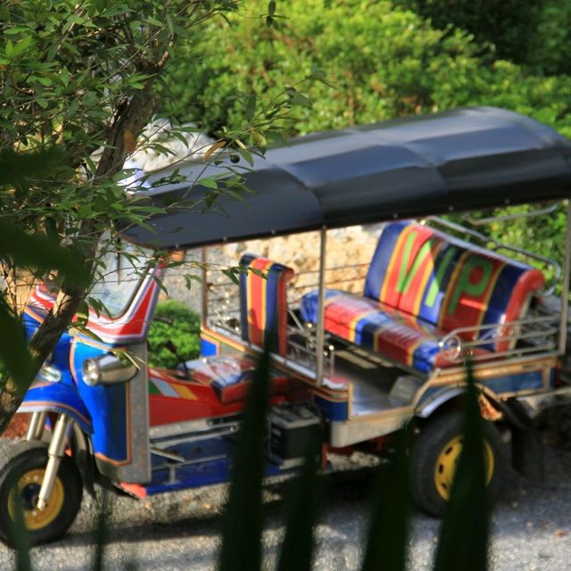 Dahla Café & Resort