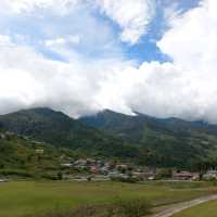 New Zealand in Sabah 🌳
