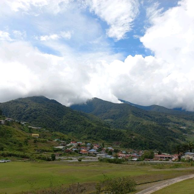 New Zealand in Sabah 🌳