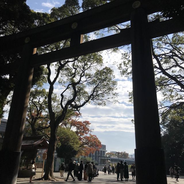 ศาลเจ้าเมจิ (Meiji Jingu)