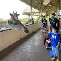 泰國曼谷Safari World 野生動物園世界