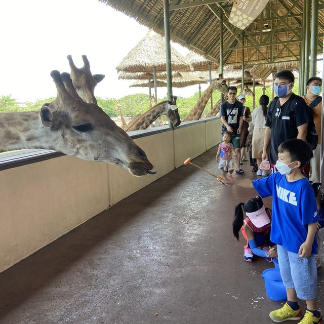 泰國曼谷Safari World 野生動物園世界