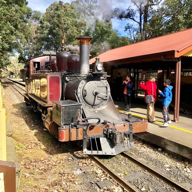 Puffing Billy Train Ride Experience