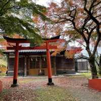 【兵庫県】鳥居と紅葉が美しい秋の有子山稲荷神社へ！