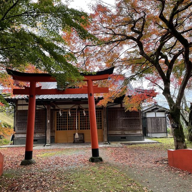 【兵庫県】鳥居と紅葉が美しい秋の有子山稲荷神社へ！