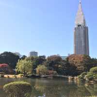東京攻略 新宿御苑