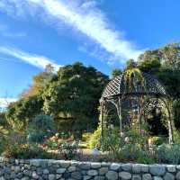 Descanso Garden in La Canada Flintridge, CA