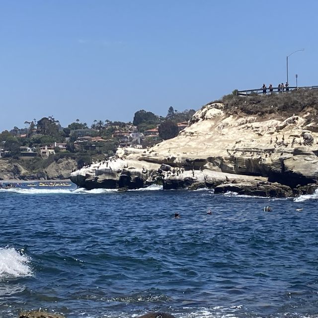 La Jolla Cove