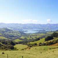Akaroa - New Zealand 