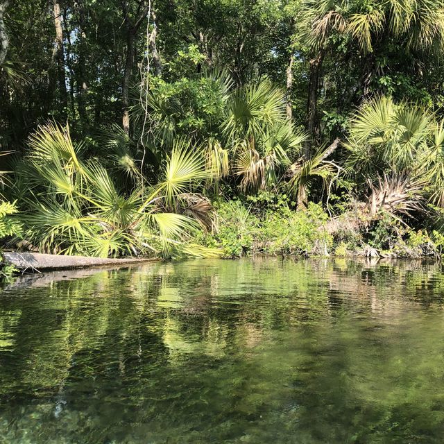 kayaking along rainbow river