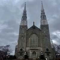 Notre Dame Cathedral Basilica 1846