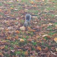 Fall Park