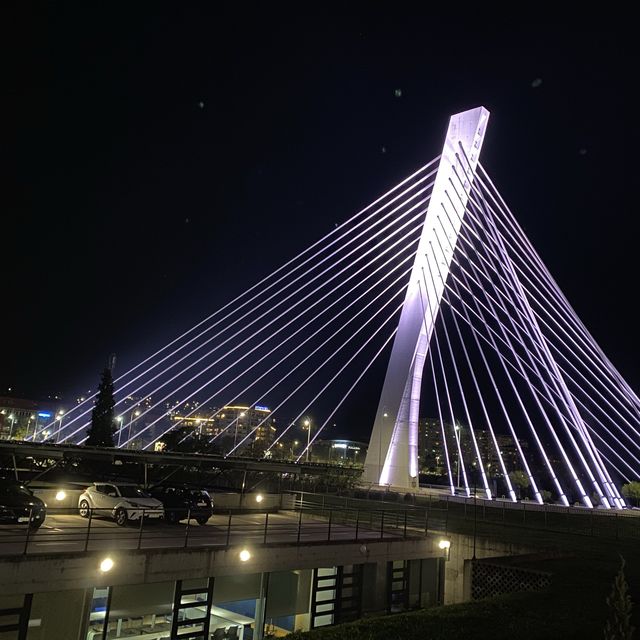 millennium bridge 